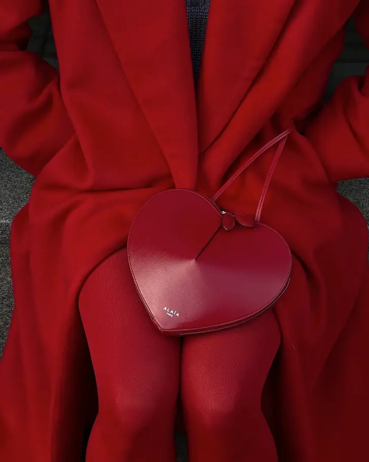 Красная сумка сердце