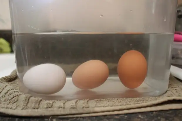2 проверенных способа определить свежесть куриных яиц4