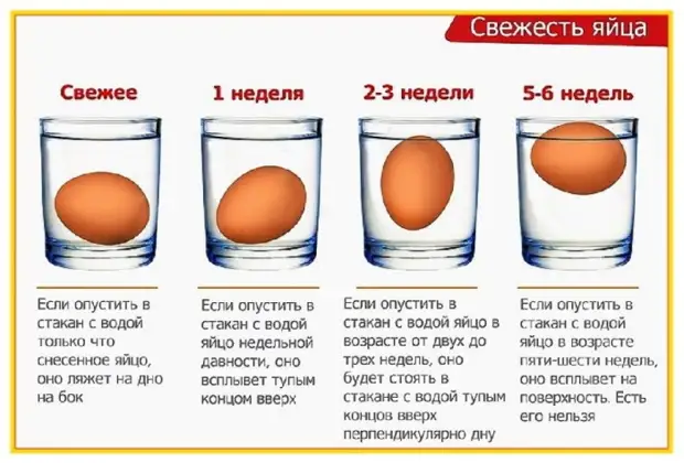 2 проверенных способа определить свежесть куриных яиц5