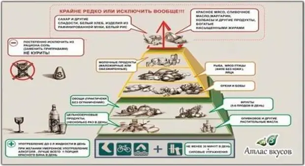 5 шагов навстречу здоровому пищеварению1