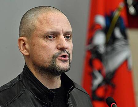 Адвокат высказалась о причине возбуждения дела против Удальцова