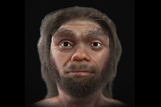 Антрополог показал, как выглядел вымерший человек Homo longi