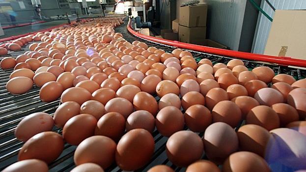 Азербайджан поставил в Россию 1,5 млн яиц