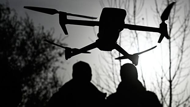 Bild: бундесвер год не может понять, чьи дроны кружат над тренировочной базой ВСУ0