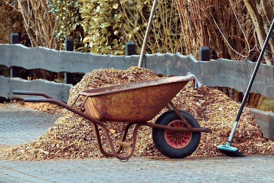 Чем мульчировать осенью, какие культуры и как это сделать: 9 лучших вариантов2