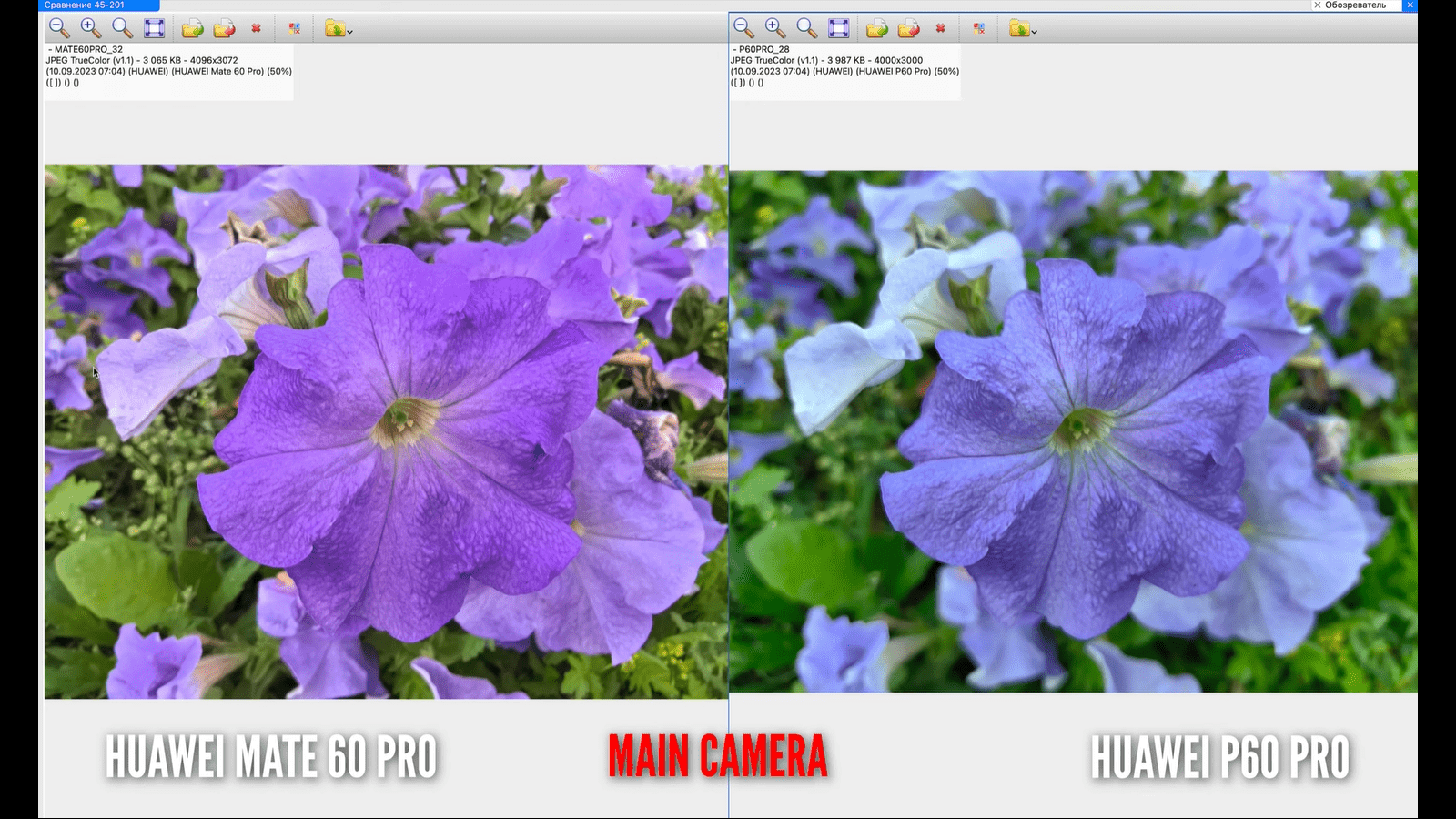 Чем отличаются камеры Huawei Mate 60 Pro от P60 Pro: подробное сравнение вживую20
