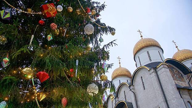 Демонтаж новогодних елей начали в Москве