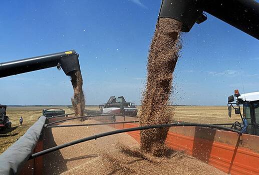 Доходы России от продажи зерна в Китай взлетели