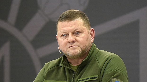 Экс-депутат Рады заявил, что Залужный снят с должности