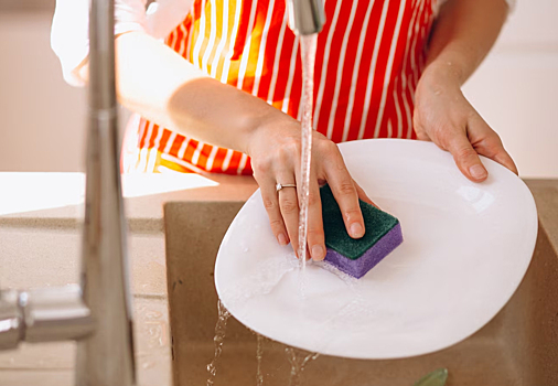 Эксперт: губки для посуды лучше заменить пластмассовыми щетками