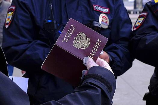 Еще десять человек лишили российского гражданства за наркотические преступления0