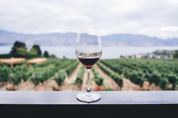 Fort: На смену недорогим винам из Италии и Франции придут напитки из Чили и ЮАР0