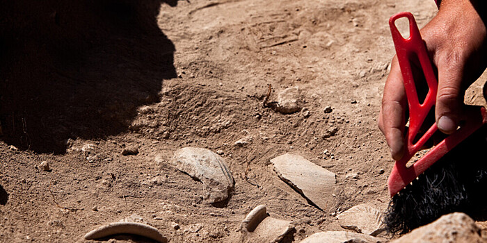 В Германии нашли горшок с подгоревшей кашей возрастом 5000 лет