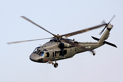 Госдеп одобрил продажу Хорватии вертолетов Black Hawk за $500 млн