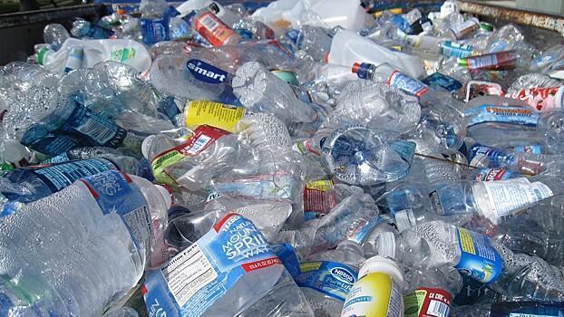 Hyundai займется переработкой навоза и пластиковых отходов