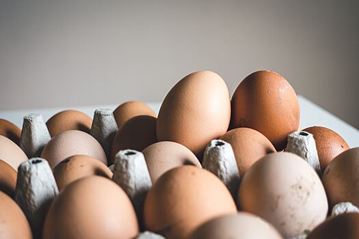 Как проверить свежесть яиц: 4 лайфхака