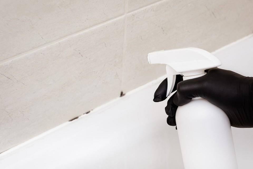 Как убрать плесень на швах в ванной: лучшие средства и проверенные способы5