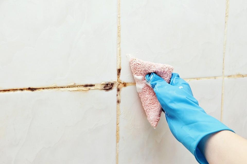 Как убрать плесень на швах в ванной: лучшие средства и проверенные способы4