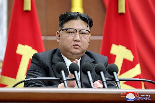 Ким Чен Ына призвали подумать о наследии отца и деда