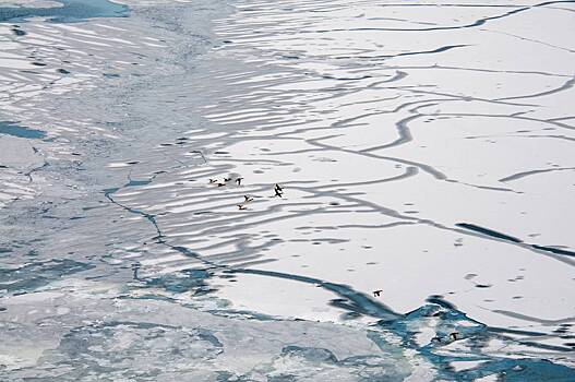 К застрявшему во льдах в Охотском море танкеру прибыло спасательное судно