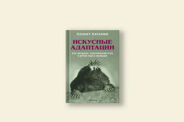 Кто такие заклинатели червей и чем они напоминают охотников на вампиров0