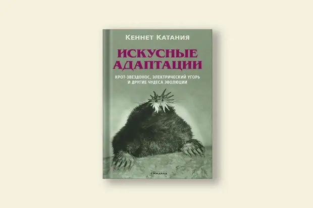 Кто такие заклинатели червей и чем они напоминают охотников на вампиров1