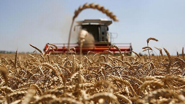 В США повысили прогноз экспорта пшеницы из России
