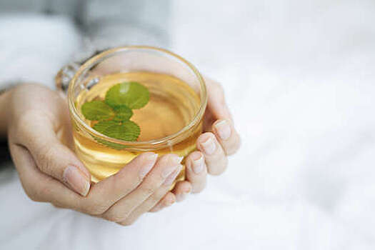 Molecules: особое соединение в зеленом чае может смягчить вред от кальяна