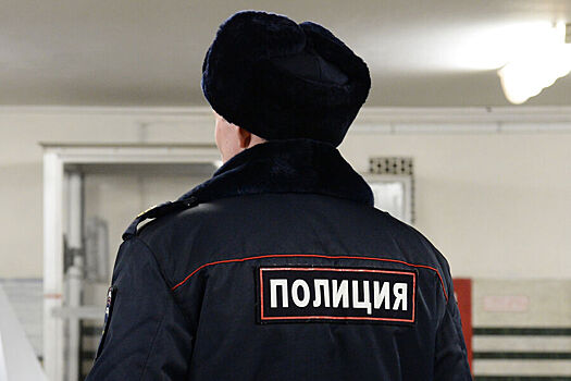 В Москве мужчина напал на полицейских с перцовым баллончиком