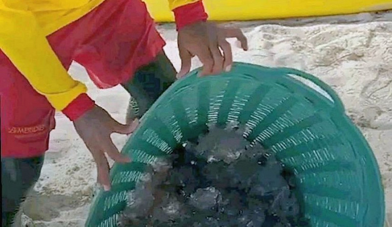 На Пхукете туристы боятся медуз: спасатели очищают пляжи1