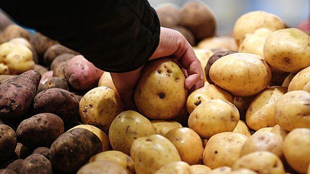 На Украине оптовые цены на картофель достигли исторического максимума