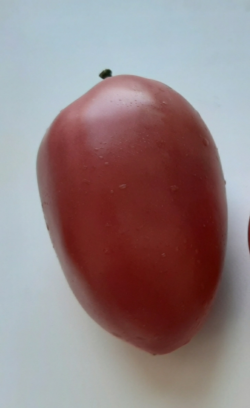 Не для меня: почему больше не буду сажать эти популярные сорта томатов5