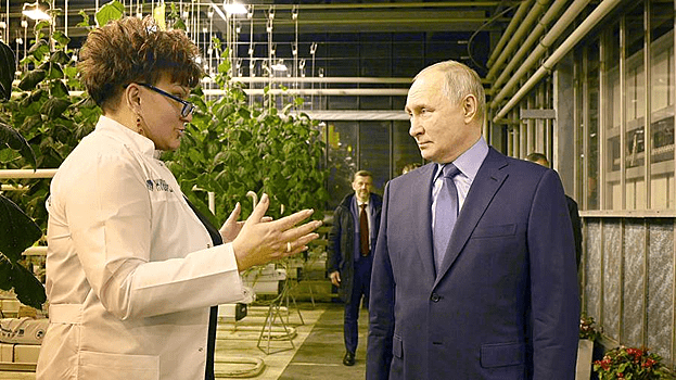 «Вычесали всю теплицу»: Путину рассказали о спросе на чукотские огурцы