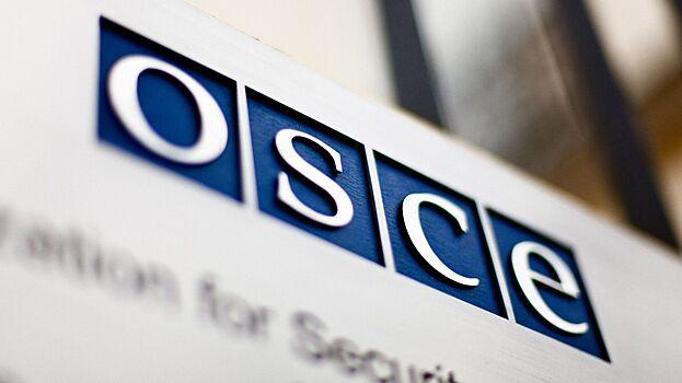 ОБСЕ разочарована отказом Минска пригласить наблюдателей от организации на выборы0