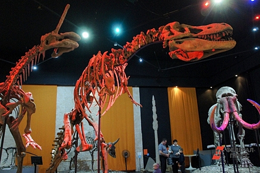 От музея братьев Васнецовых до древних динозавров: чем туристов удивит Кировская область