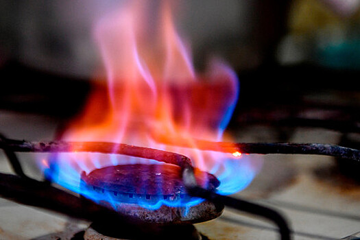 Ученые объяснили пользу перехода с газовой плиты на электрическую