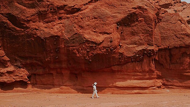 Планетологи рассказали, кого отправят на Марс вместе с человеком