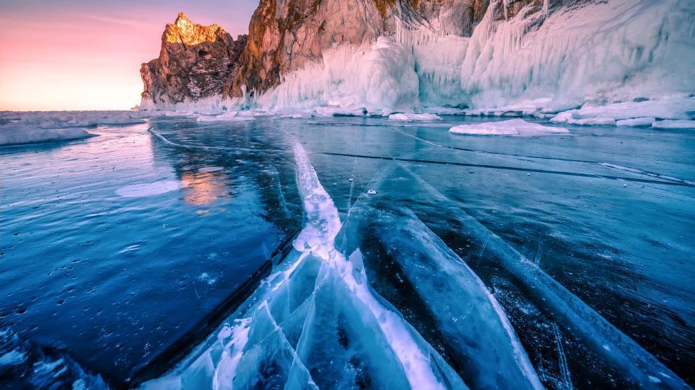 Почему микроводоросли не погибают во льду? Ученые нашли ответ1