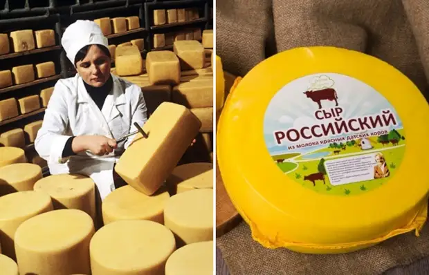 Почему сырье для «Российского» сыра поставляли по подземному молокопроводу0