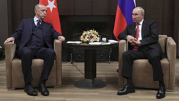Политолог рассказал, какие темы затронут Путин и Эрдоган во время переговоров0