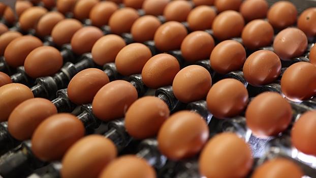 Поставки куриных яиц из Белоруссии в Россию выросли почти вдвое