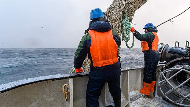 Правительство одобрило закрытие Баренцева моря для рыболовов Британии