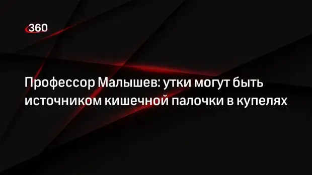 Профессор Малышев: утки могут быть источником кишечной палочки в купелях0