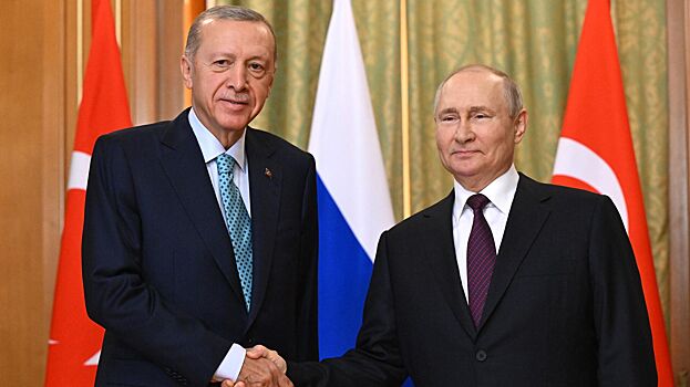 Названы темы переговоров Путина и Эрдогана