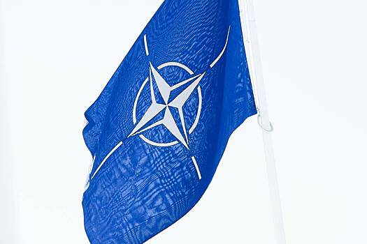 Рогов ответил на слова представителя НАТО о войне с Россией