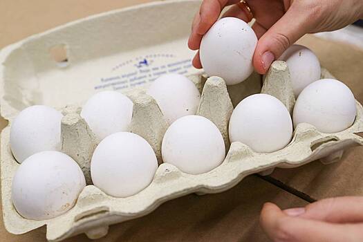 Российские производители курицы и яиц попросили о помощи