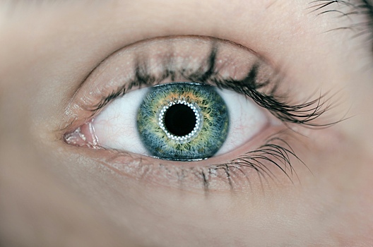 Российские ученые обучили нейросеть определять диабет по сетчатке глаза