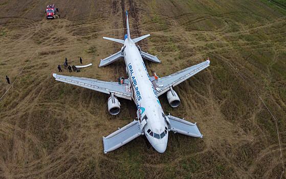 Севший в поле самолет «Уральских авиалиний» планируют распилить на металлолом