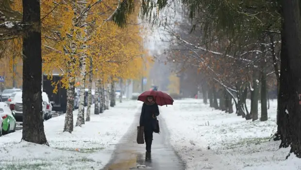 Штормовой ветер до 28 метров в секунду и мокрый снег ожидаются в Кузбассе в понедельник, 23 октября