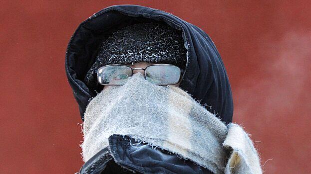 Синоптик предупредил москвичей о 25-градусных морозах